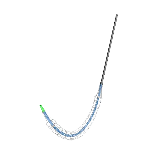 Peripheral Vascular Intervention